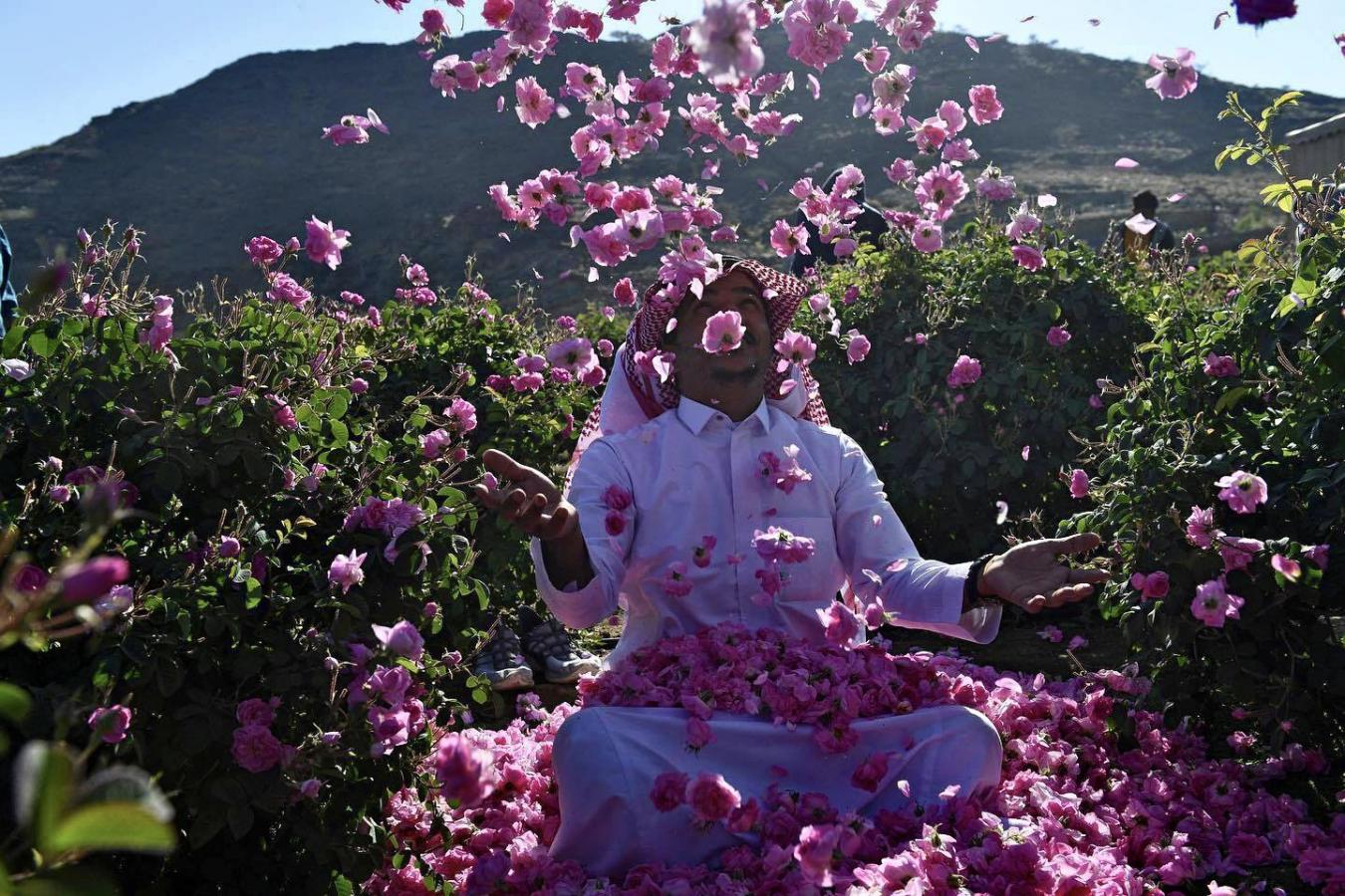Taif: Saudi Arabia’s City Of Roses | TimelineDaily